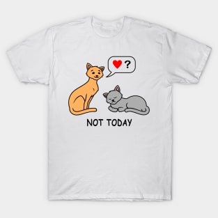 Not Today tired lazy cat wants no love and attention funny cat t-shirt gift for cat lovers T-Shirt